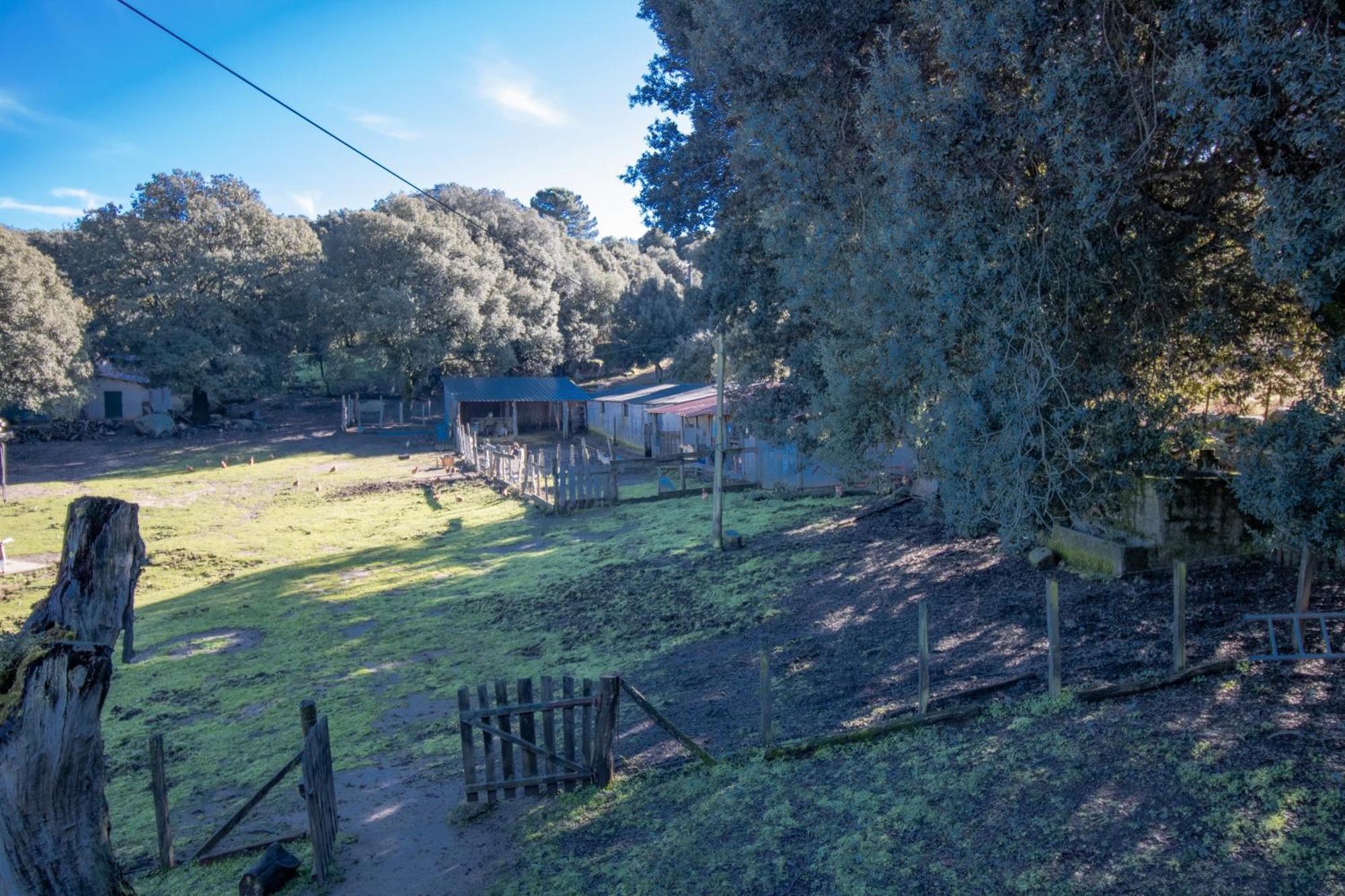 Ferme I Frassedi Villa Levie Exterior foto