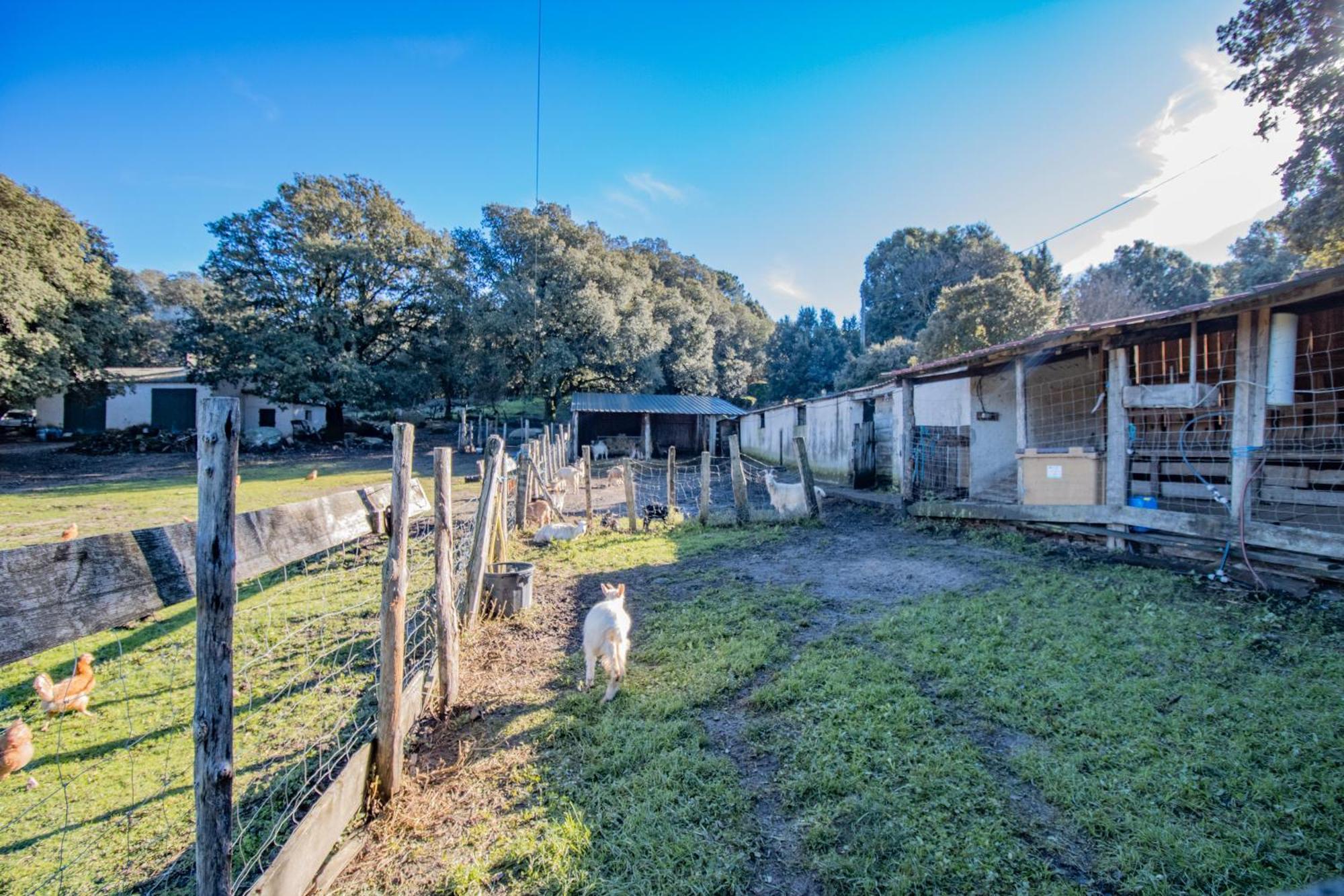 Ferme I Frassedi Villa Levie Exterior foto